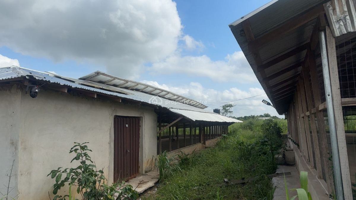 Poultry Farm & Pig, Goat, Cattle Farm, Atia,near Ejisu, Boankra., Ejisu-juaben Municipal, Ashanti, Commercial Property for Sale
