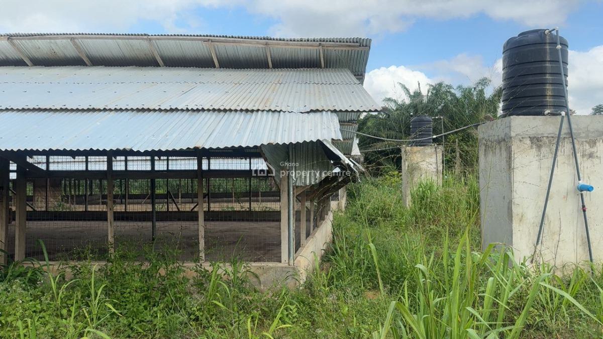 Poultry Farm & Pig, Goat, Cattle Farm, Atia,near Ejisu, Boankra., Ejisu-juaben Municipal, Ashanti, Commercial Property for Sale