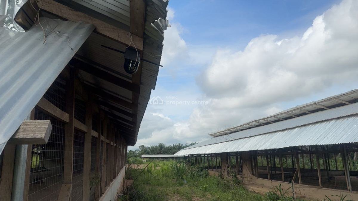 Poultry Farm & Pig, Goat, Cattle Farm, Atia,near Ejisu, Boankra., Ejisu-juaben Municipal, Ashanti, Commercial Property for Sale