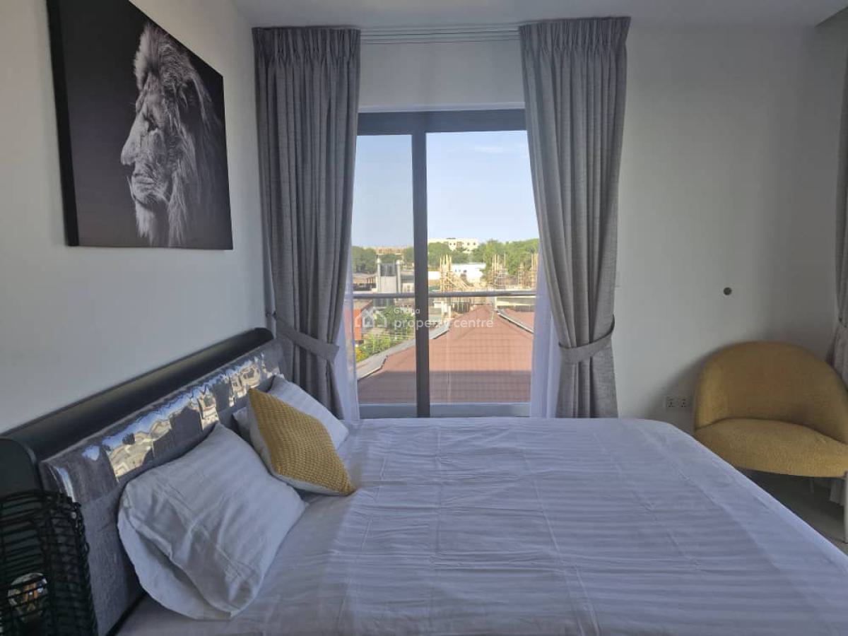 Executive Fully Furnished 1 Bedroom, North Labone, Accra, Apartment for Rent