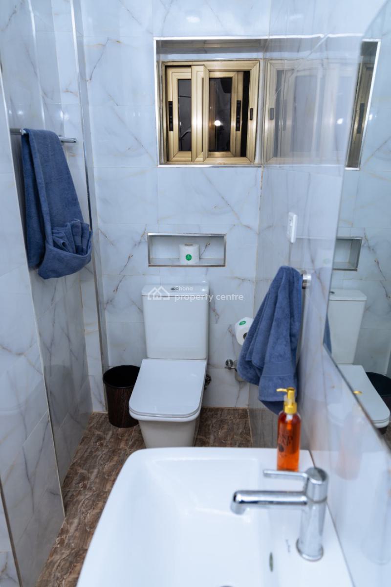 Fully Furnished 2 Bedroom Apartment, West Airport, Airport Residential Area, Accra, Apartment for Rent