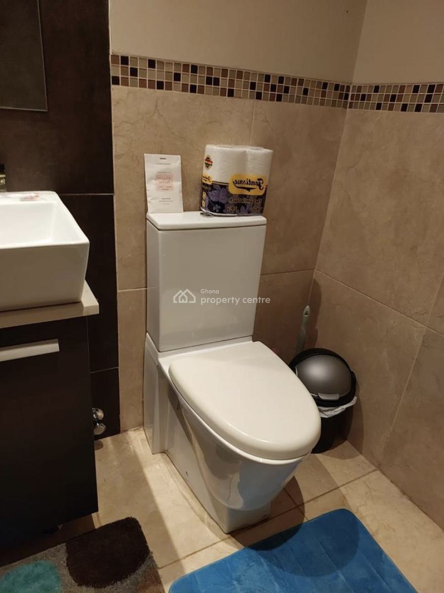 Furnished 1 Bedroom N Hall at Cantonments, Us Embassy, Cantonments, Accra, Mini Flat for Rent
