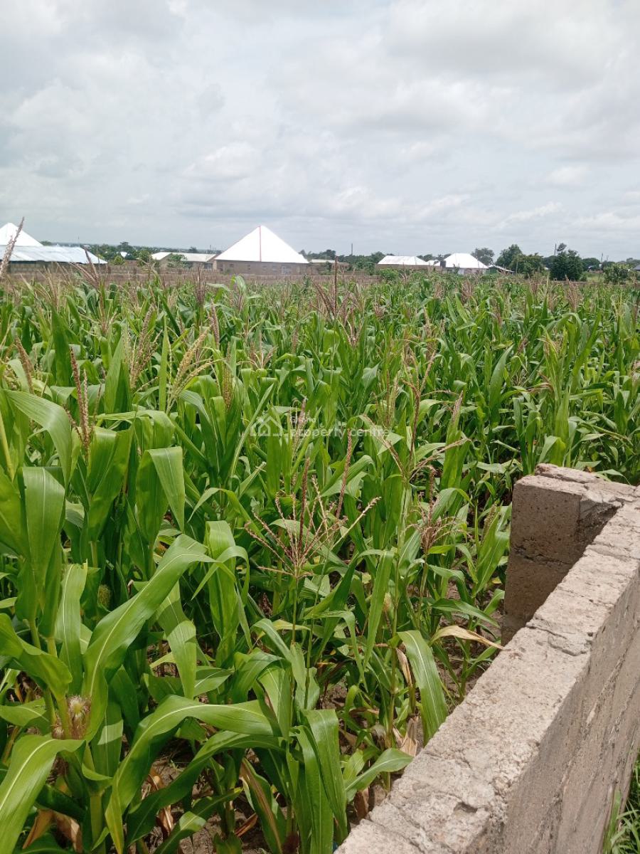 Two Plots of Land, Fenced, Wa Sombo, Wa Municipal District, Upper West Region, Mixed-use Land for Sale