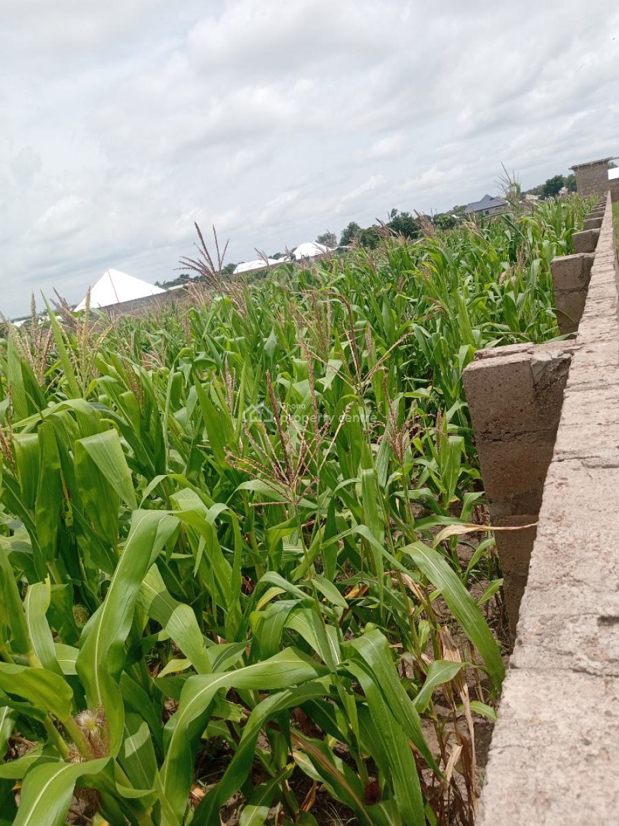 Two Plots of Land, Fenced, Wa Sombo, Wa Municipal District, Upper West Region, Mixed-use Land for Sale