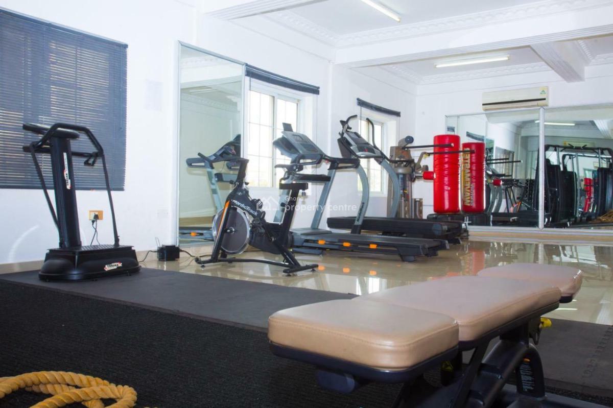 Furnished One Bedroom Apartment with Gym, East Legon, Accra, Mini Flat for Rent