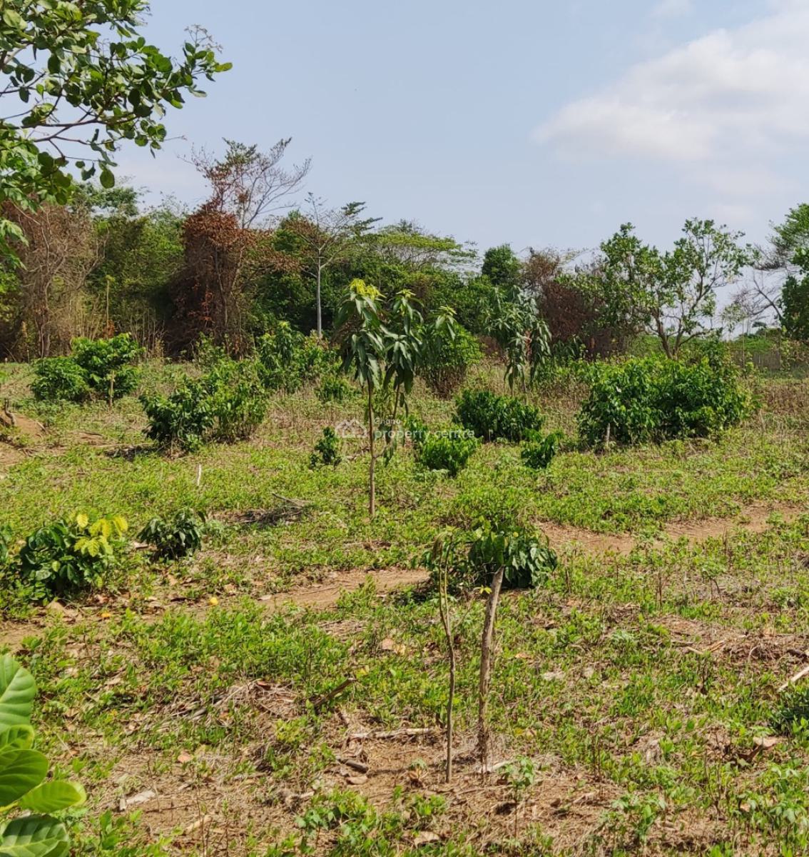 5 Plot of Land, Abesim, Sunyani Municipal, Brong Ahafo, Land for Sale