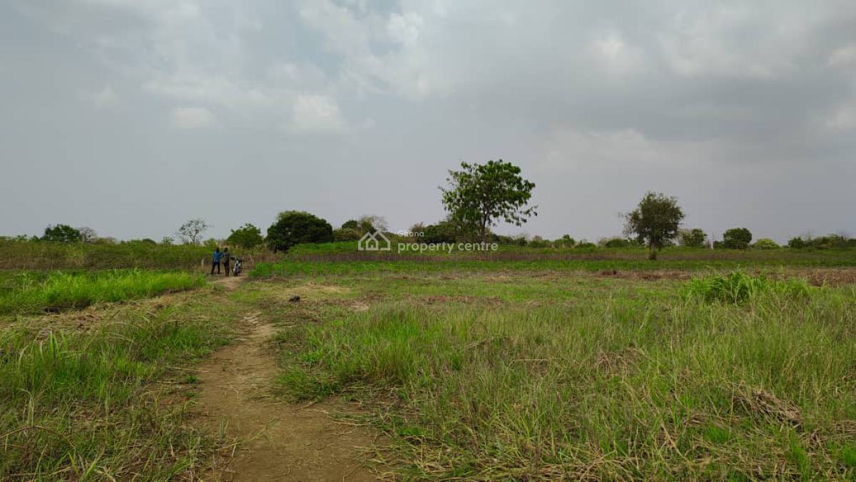 Land in Have - Afadzato South, Afadjato South, Volta Region, Mixed-use Land for Sale