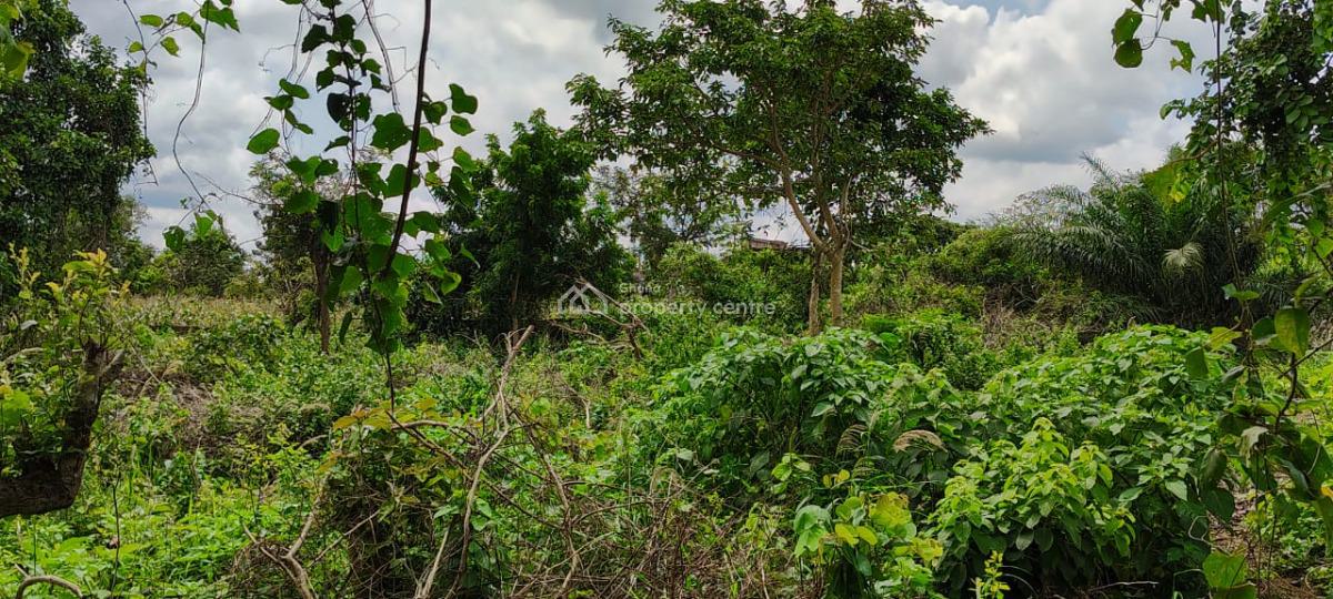 Farm Land in Mankemsi, Mankessim-kakaboum, Cape Coast Metropolitan, Central Region, Commercial Land for Sale