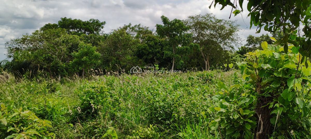 Farm Land in Mankemsi, Mankessim-kakaboum, Cape Coast Metropolitan, Central Region, Commercial Land for Sale