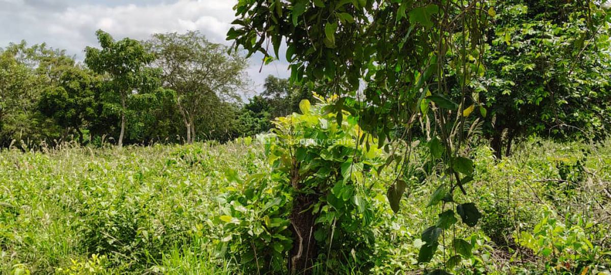 Farm Land in Mankemsi, Mankessim-kakaboum, Cape Coast Metropolitan, Central Region, Commercial Land for Sale