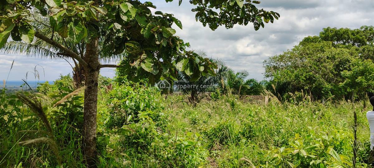 Farm Land in Mankemsi, Mankessim-kakaboum, Cape Coast Metropolitan, Central Region, Commercial Land for Sale