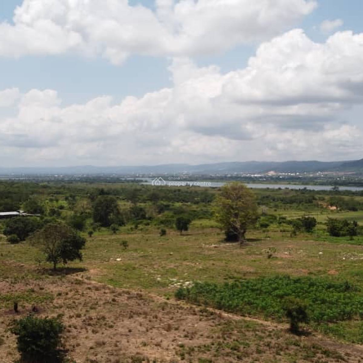 Executive 100 Acres of Fertile Farmland, Asuogyaman, Eastern Region, Land for Sale