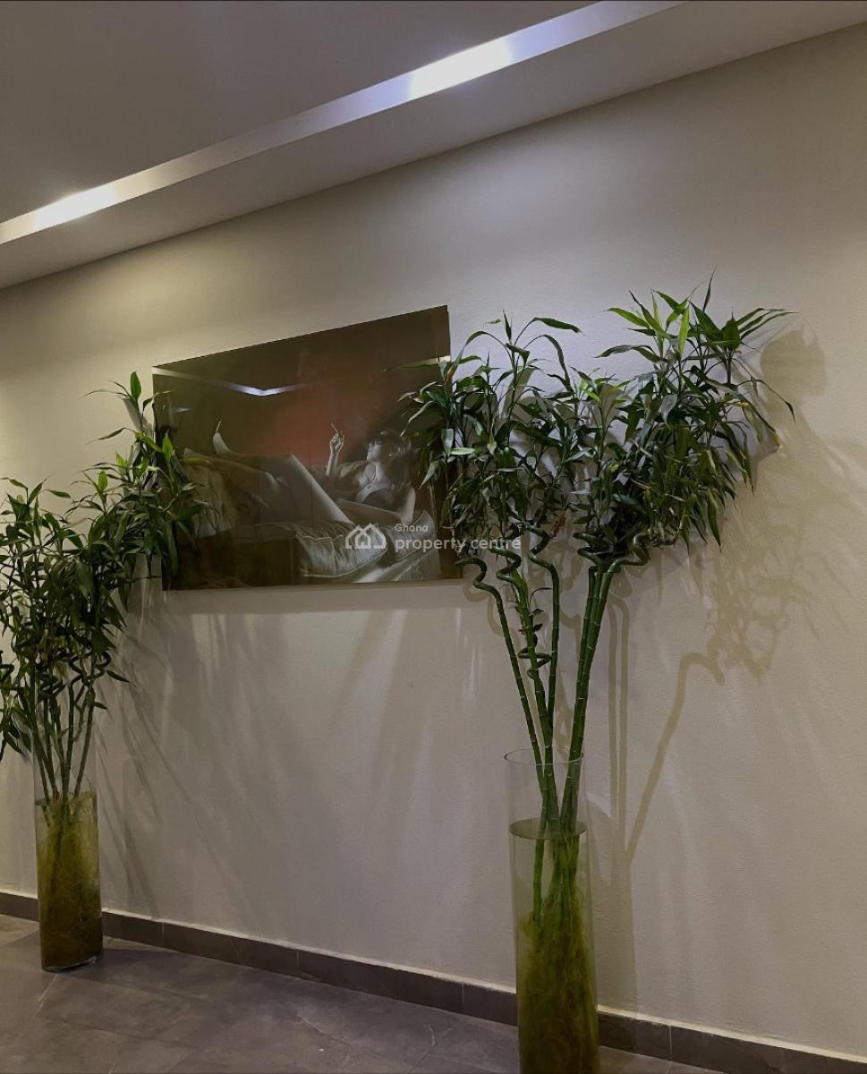 Executive Fully Furnished 4 Bedrooms, Adjiringanor, East Legon, Accra, House for Rent