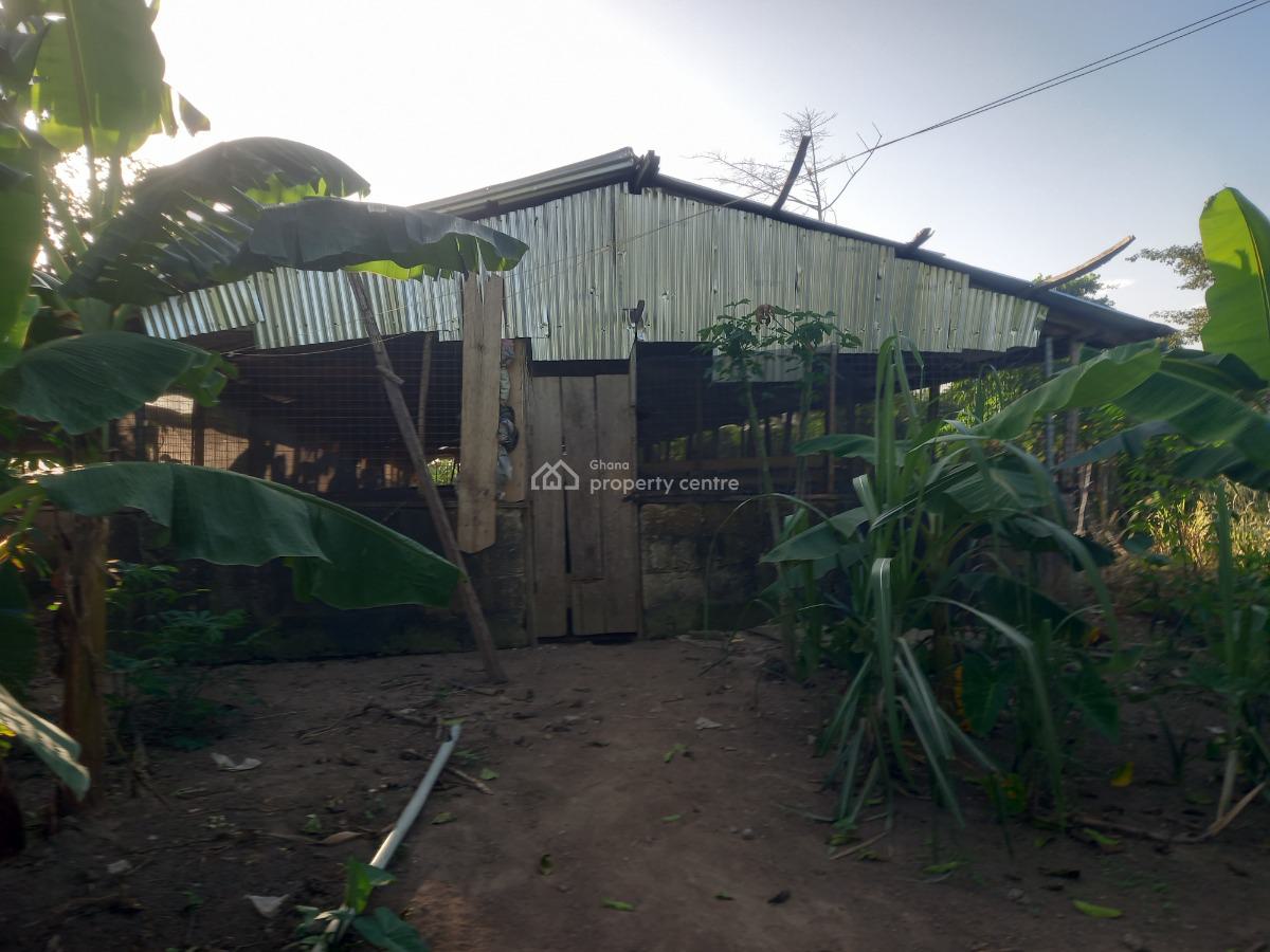 Pig Farm   ( 12 Plots) 2 & Half Acres Land, Offinso, on Kumsi Techiman Road., Offinso Municipal, Ashanti, Tank Farm for Sale
