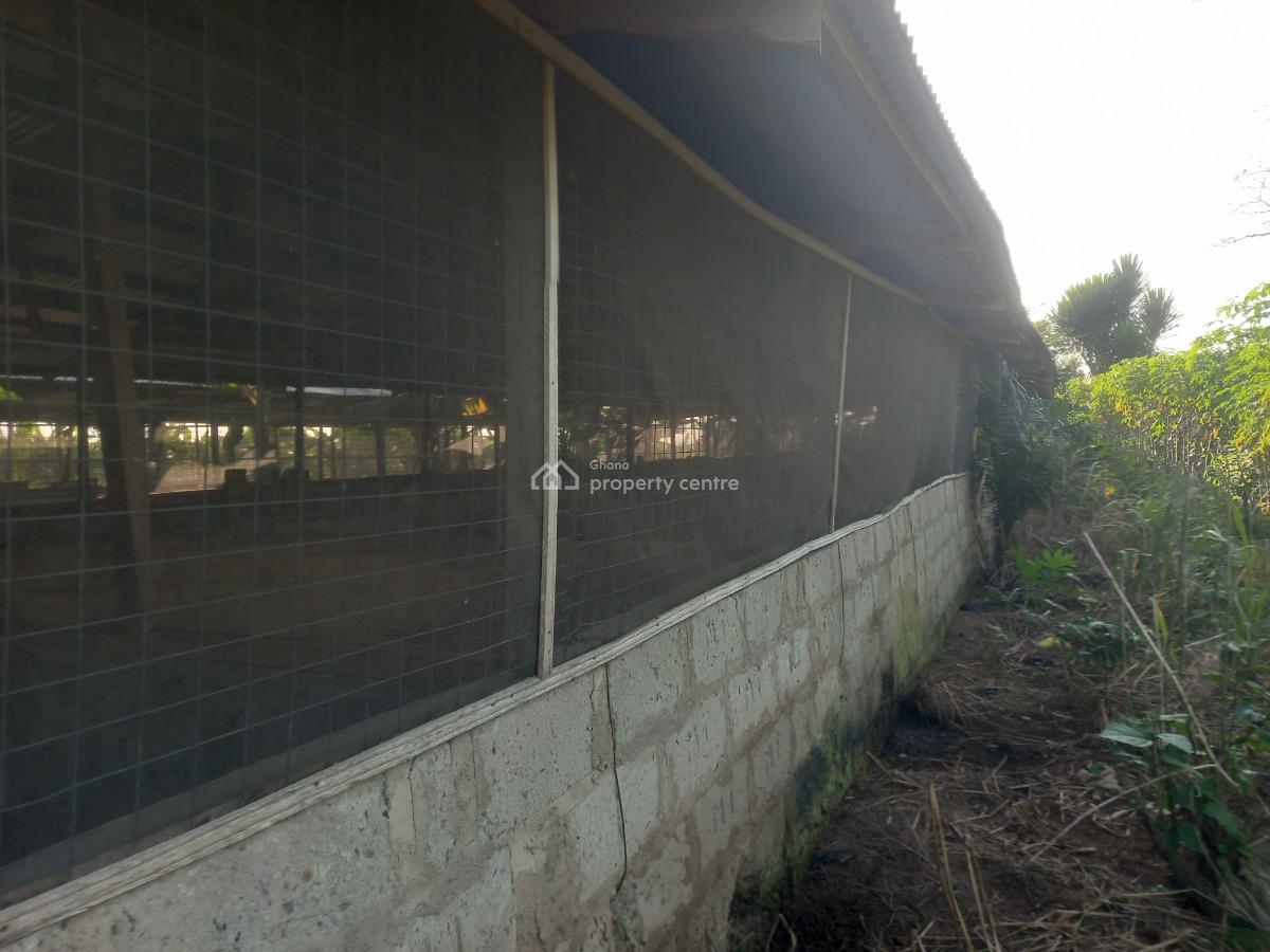 Pig Farm   ( 12 Plots) 2 & Half Acres Land, Offinso, on Kumsi Techiman Road., Offinso Municipal, Ashanti, Tank Farm for Sale