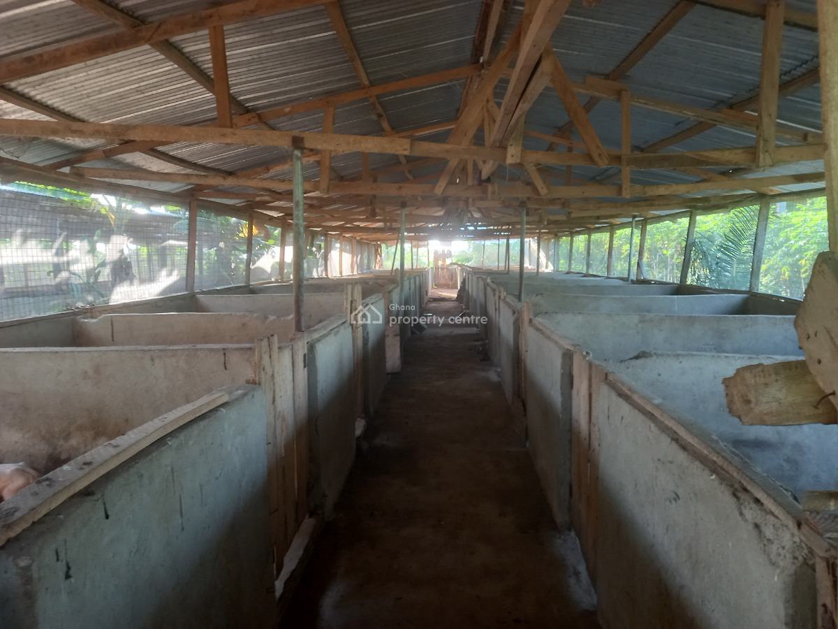 Pig Farm   ( 12 Plots) 2 & Half Acres Land, Offinso, on Kumsi Techiman Road., Offinso Municipal, Ashanti, Tank Farm for Sale