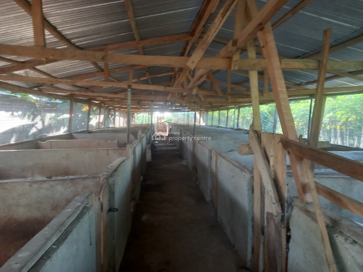Pig Farm   ( 12 Plots) 2 & Half Acres Land, Offinso, on Kumsi Techiman Road., Offinso Municipal, Ashanti, Tank Farm for Sale