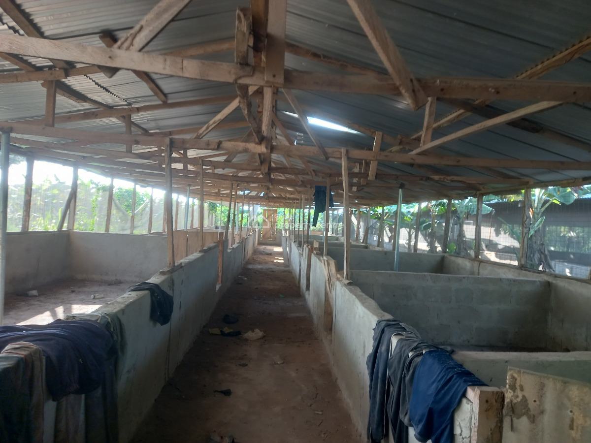 Pig Farm   ( 12 Plots) 2 & Half Acres Land, Offinso, on Kumsi Techiman Road., Offinso Municipal, Ashanti, Tank Farm for Sale