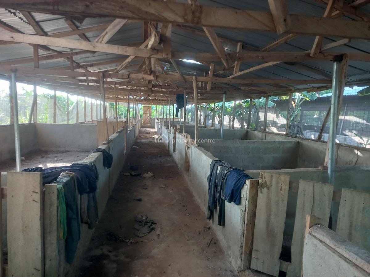 Pig Farm   ( 12 Plots) 2 & Half Acres Land, Offinso, on Kumsi Techiman Road., Offinso Municipal, Ashanti, Tank Farm for Sale