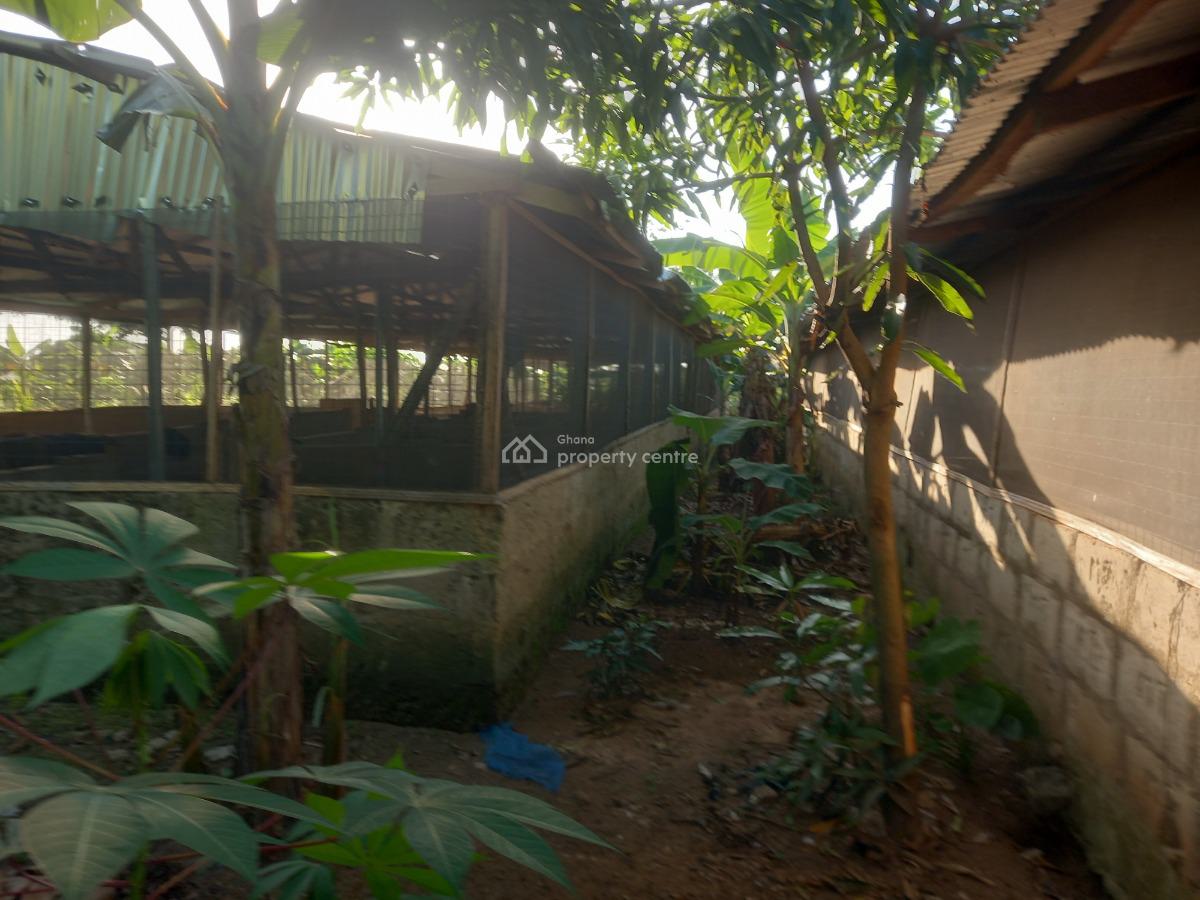 Pig Farm   ( 12 Plots) 2 & Half Acres Land, Offinso, on Kumsi Techiman Road., Offinso Municipal, Ashanti, Tank Farm for Sale