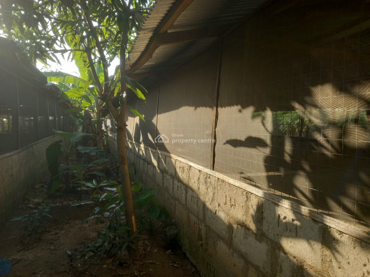 Pig Farm   ( 12 Plots) 2 & Half Acres Land, Offinso, on Kumsi Techiman Road., Offinso Municipal, Ashanti, Tank Farm for Sale