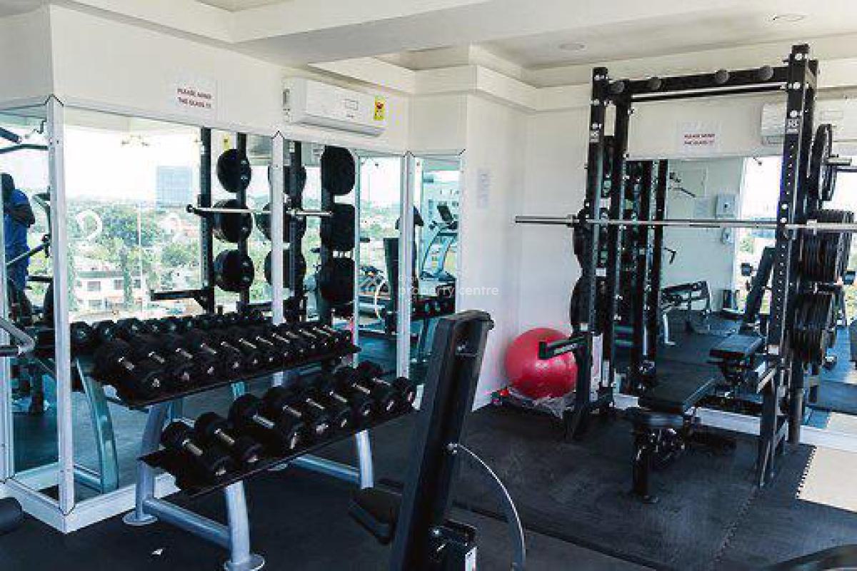 Denya Studio Apartment Complex in Osu, Osu, Osu, Accra, Mini Flat for Rent