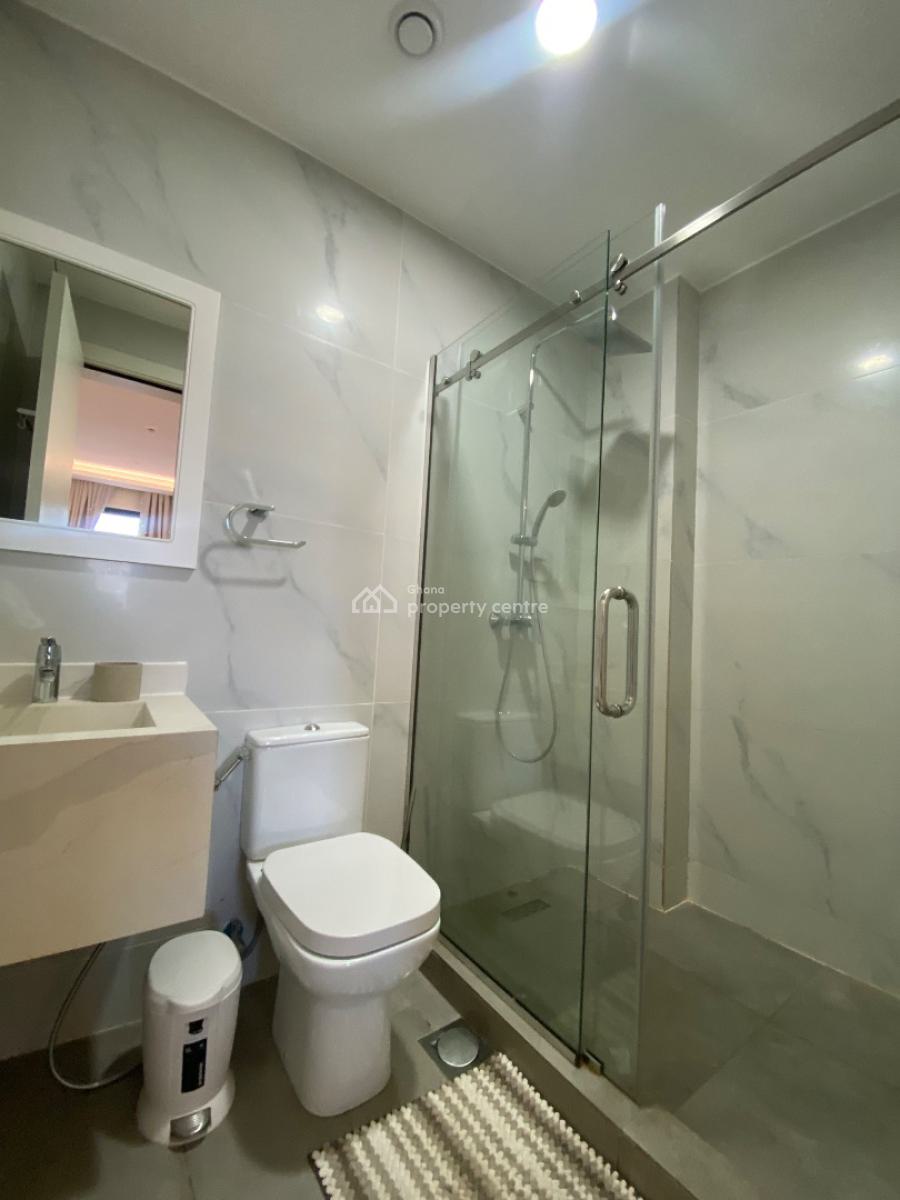 Furnished 3 Bedrooms Apartment in Cantonments, Cantonment, Cantonments, Accra, Apartment for Rent