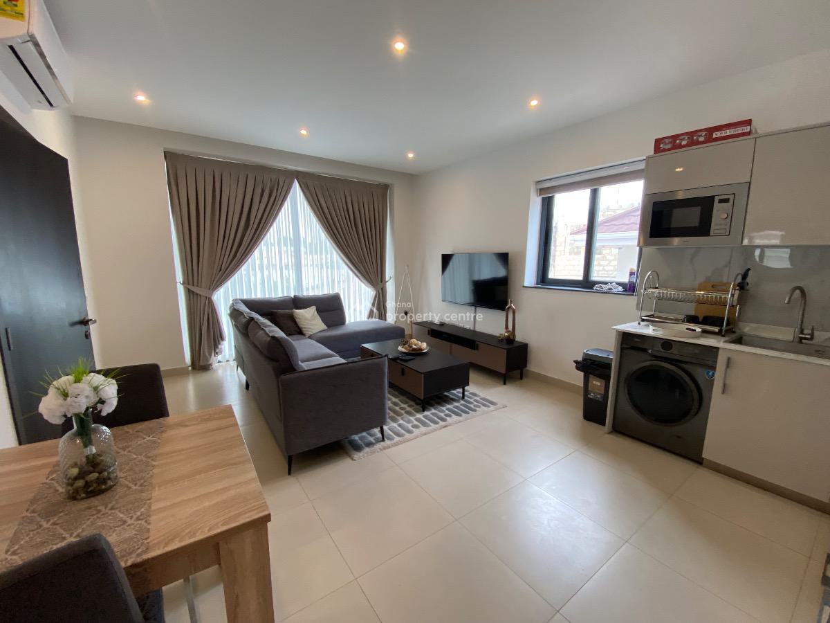 Furnished One Bedroom in Labone Crescent, Labone, North Labone, Accra, Apartment for Rent