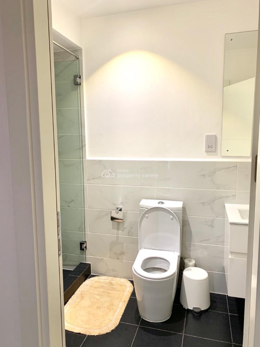 Furnished One Bedroom in Cantonments, Cantonments, Cantonments, Accra, Apartment for Rent