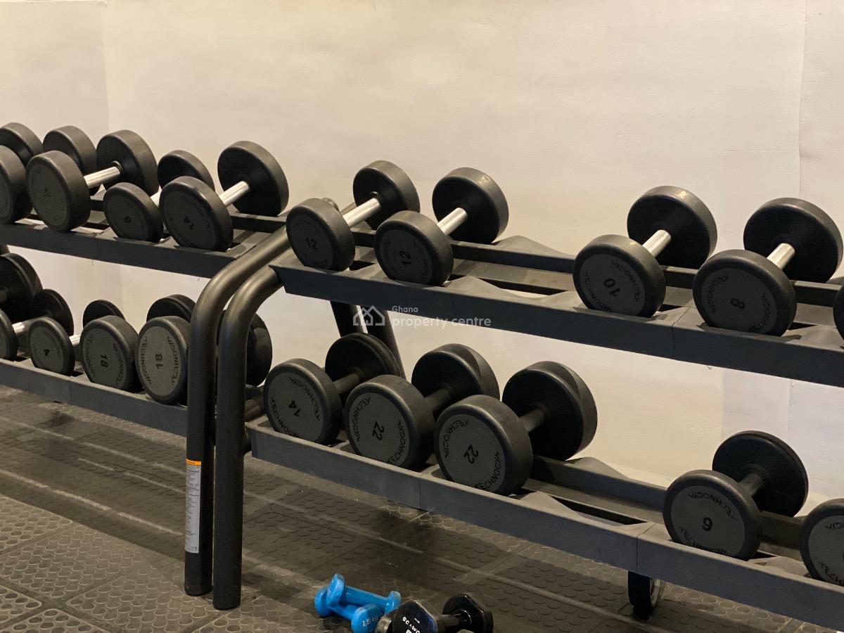 Furnished One Bedroom in Cantonments, Cantonments, Cantonments, Accra, Apartment for Rent