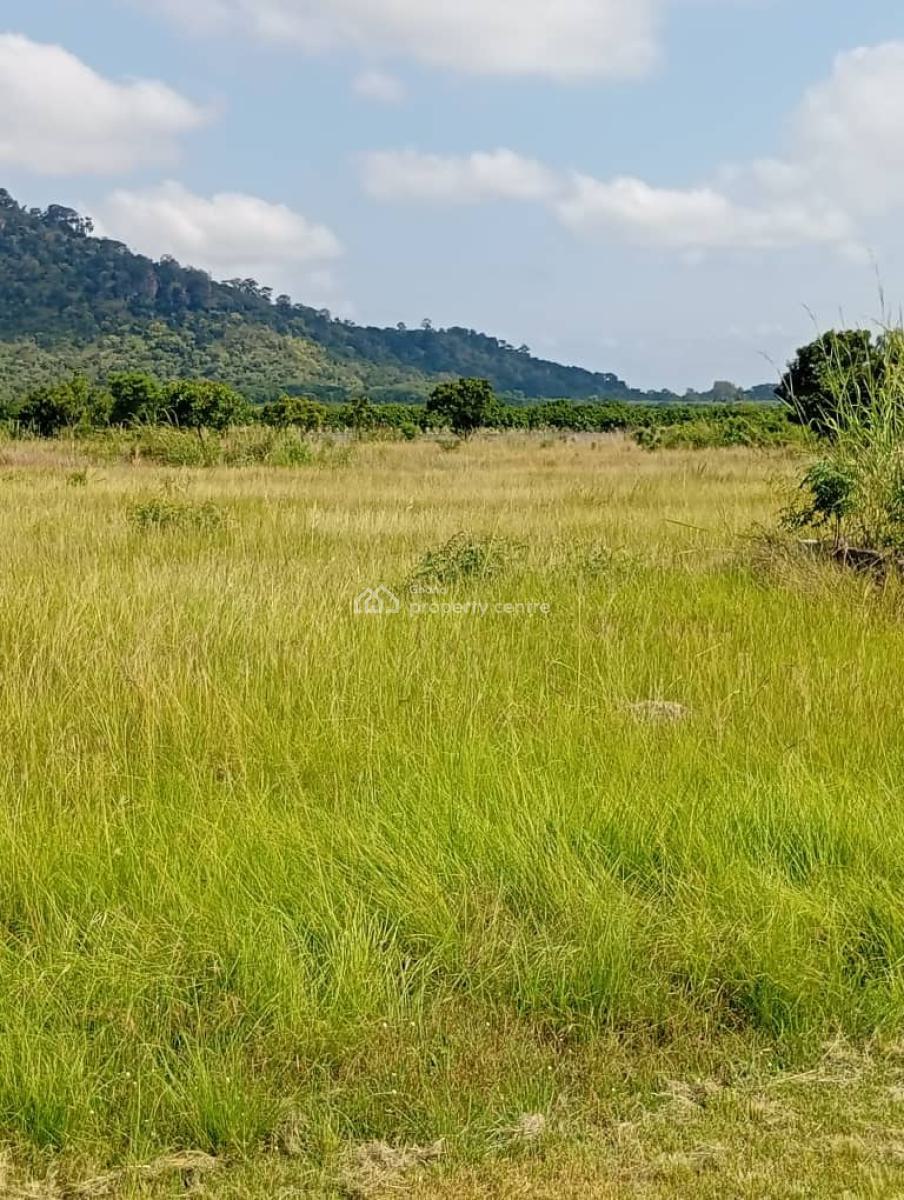 Land, Near Kwaminga Amusement Park, Yilo Krobo, Eastern Region, Land for Sale