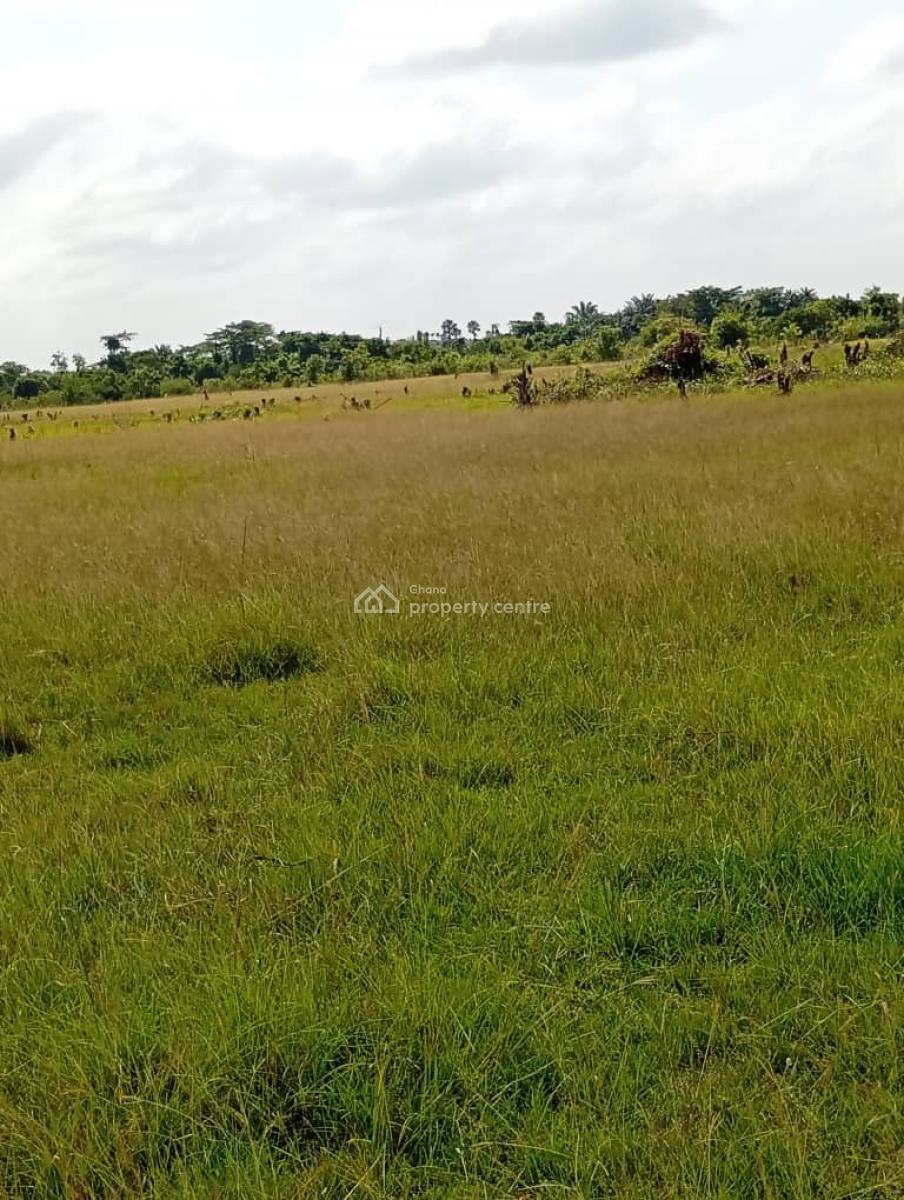 Land, Near Kwaminga Amusement Park, Yilo Krobo, Eastern Region, Land for Sale