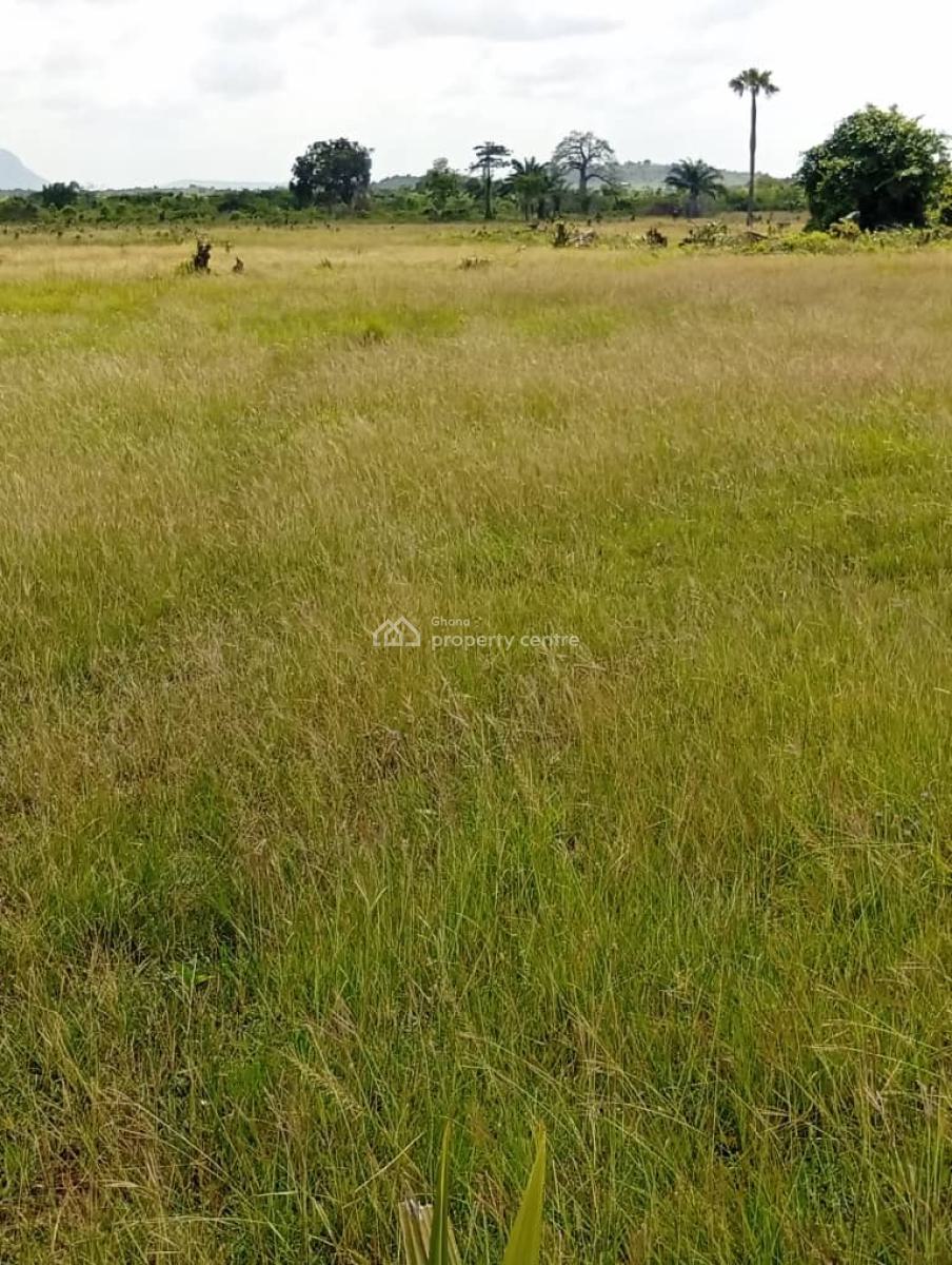Land, Near Kwaminga Amusement Park, Yilo Krobo, Eastern Region, Land for Sale