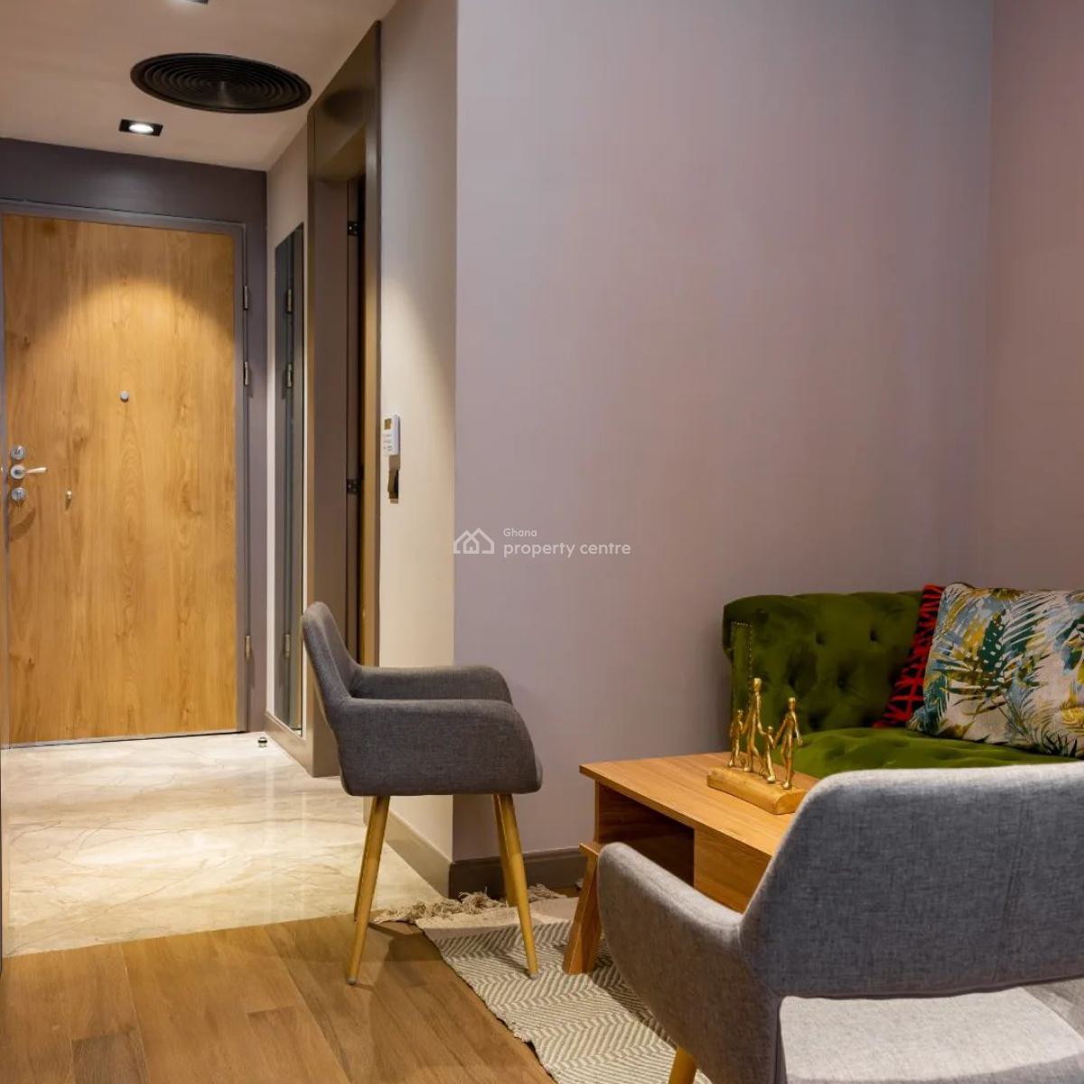 Executive Furnished Modern Studio, Cantonments, Accra, Shop for Sale