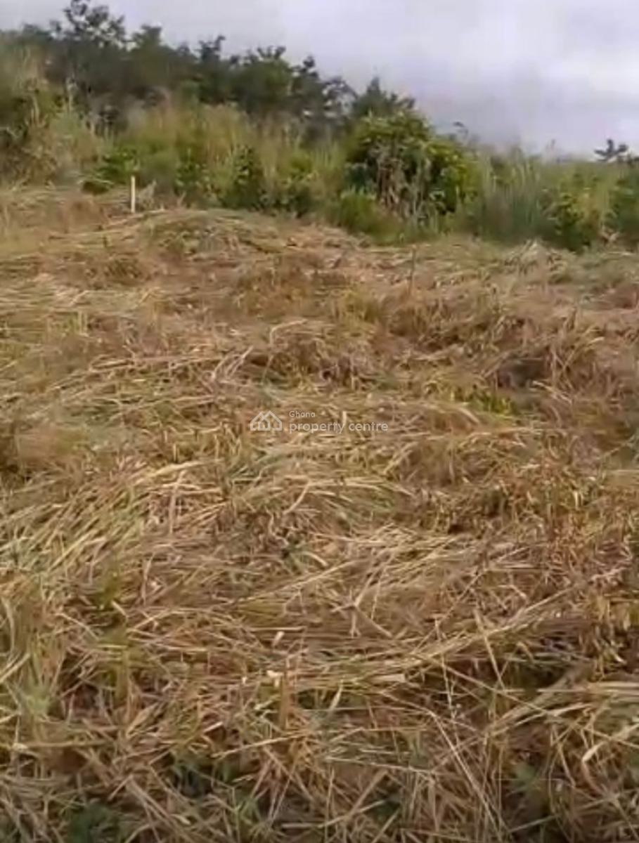 Executive Titled 5 Plots of Land, Ajumako/enyan/essiam, Central Region, Land for Sale