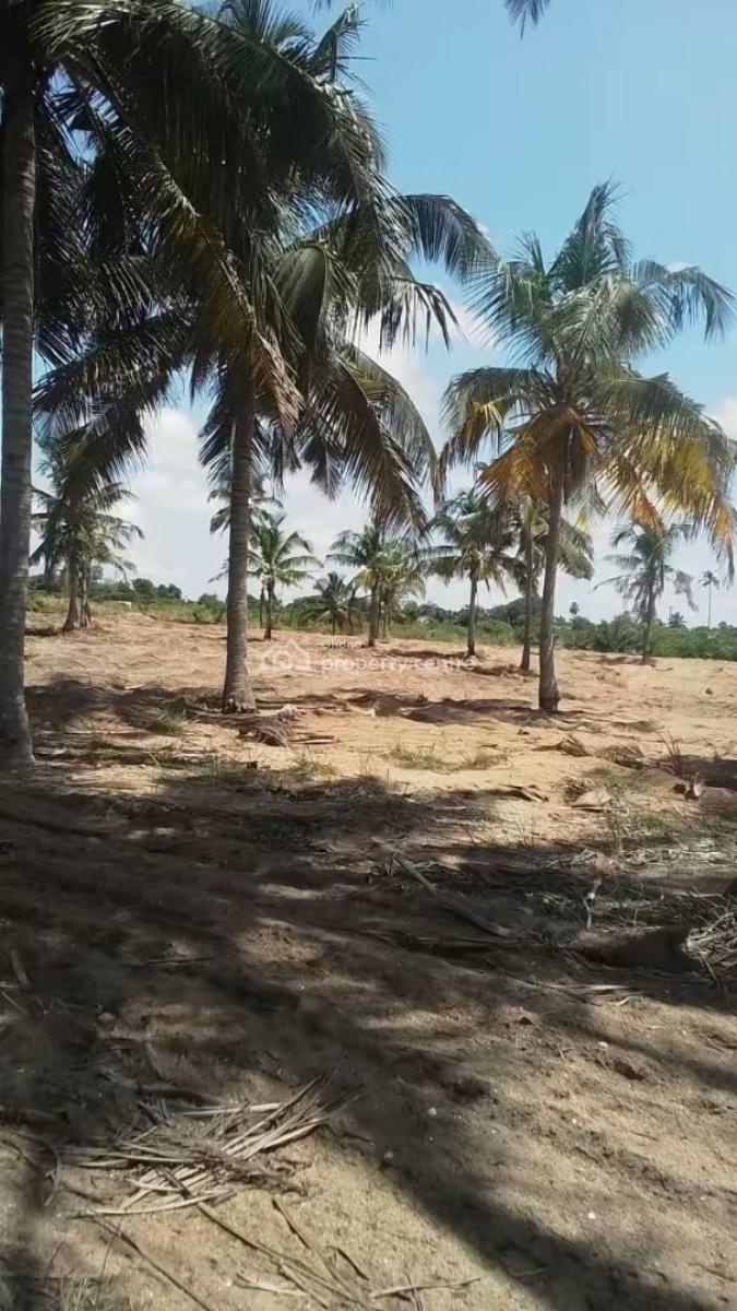 Executive Titled 5 Plots of Land, Ajumako/enyan/essiam, Central Region, Land for Sale