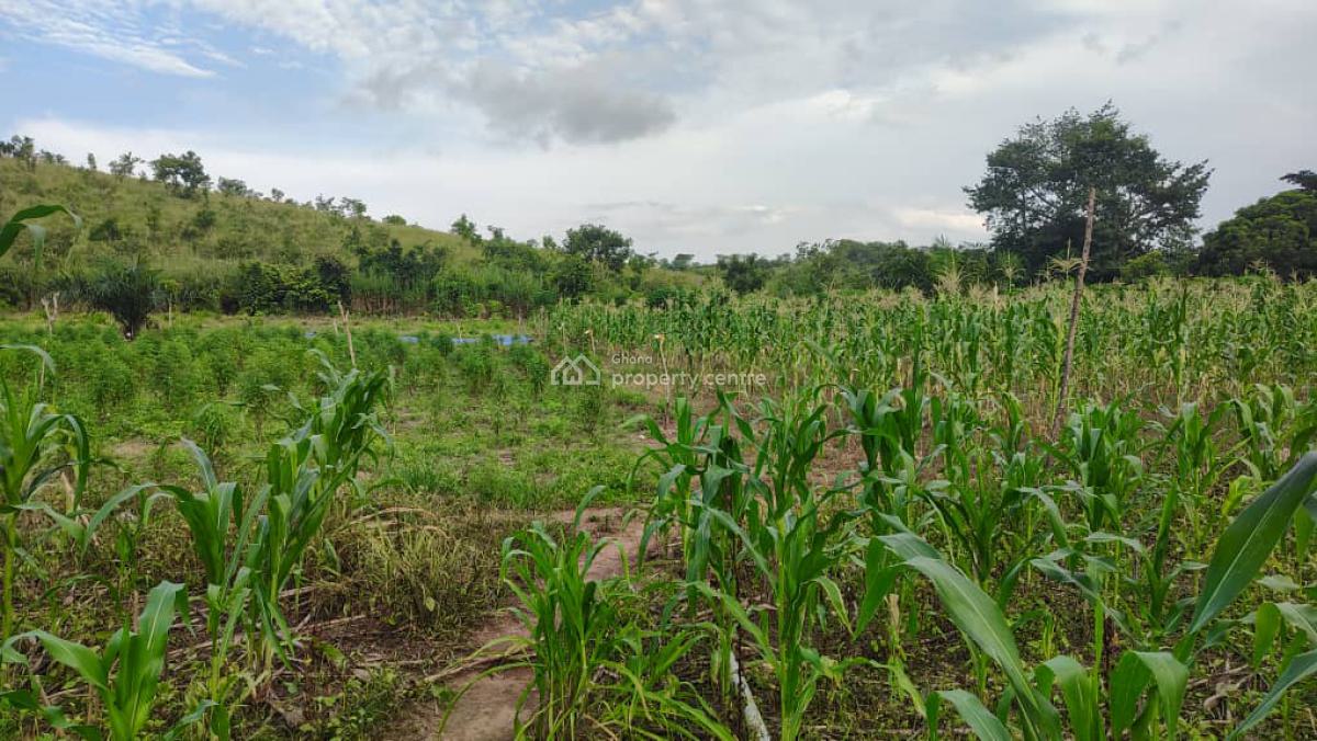 Swedru-agona District, Swedru-agona, Agona West Municipal, Central Region, Commercial Land for Sale