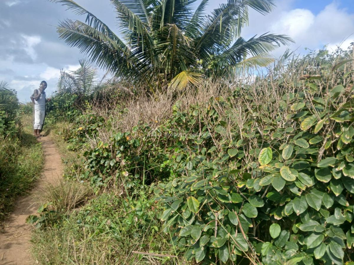 156 Acres Industrial/commercial Land, Takoradi, Sekondi-takoradi, Western Region, Industrial Land for Sale