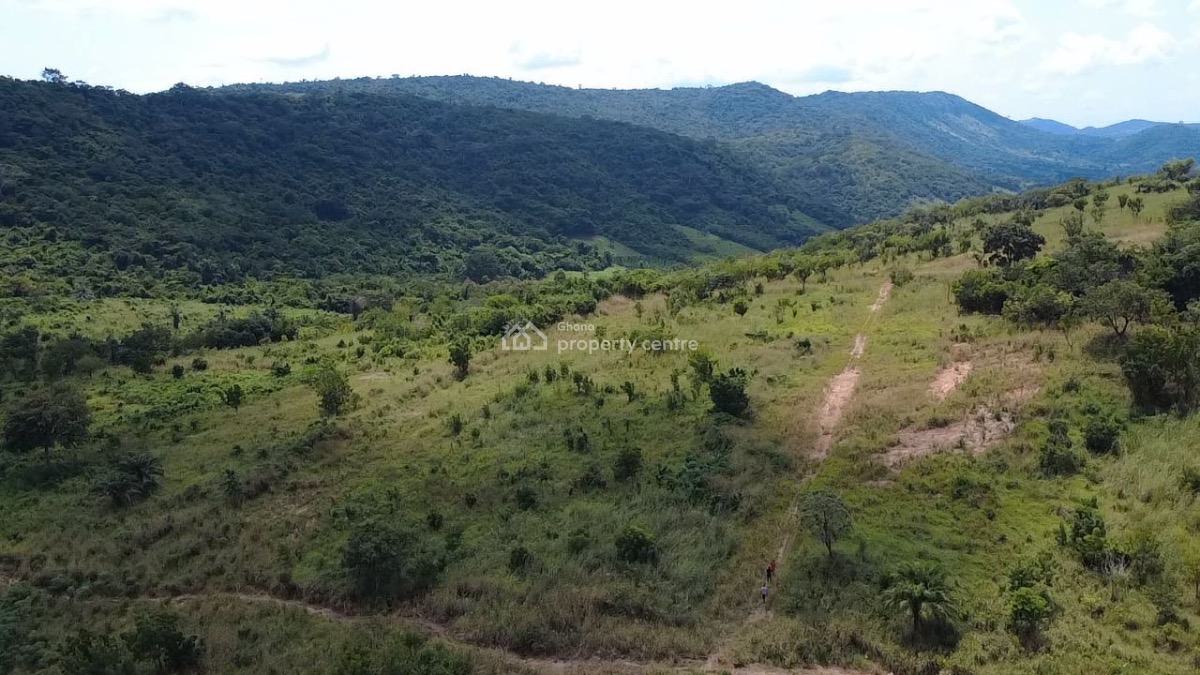 50 Acres of Estate Land in Akosombo, Akosombo, Asuogyaman, Eastern Region, Residential Land for Sale