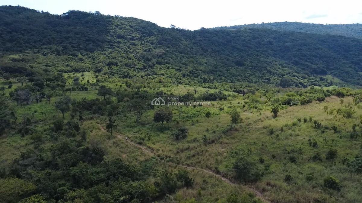 50 Acres of Estate Land in Akosombo, Akosombo, Asuogyaman, Eastern Region, Residential Land for Sale
