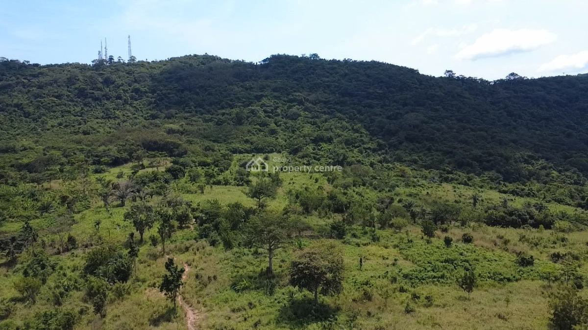 50 Acres of Estate Land in Akosombo, Akosombo, Asuogyaman, Eastern Region, Residential Land for Sale