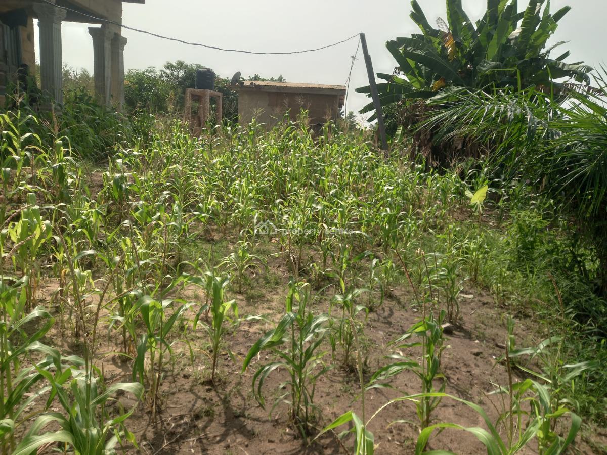 4 Bedrooms   ( Full Plot), Bomfa,  Near Fawoade Mampongteng,  on Tafo Pankrono Road., Kumasi Metropolitan, Ashanti, House for Sale