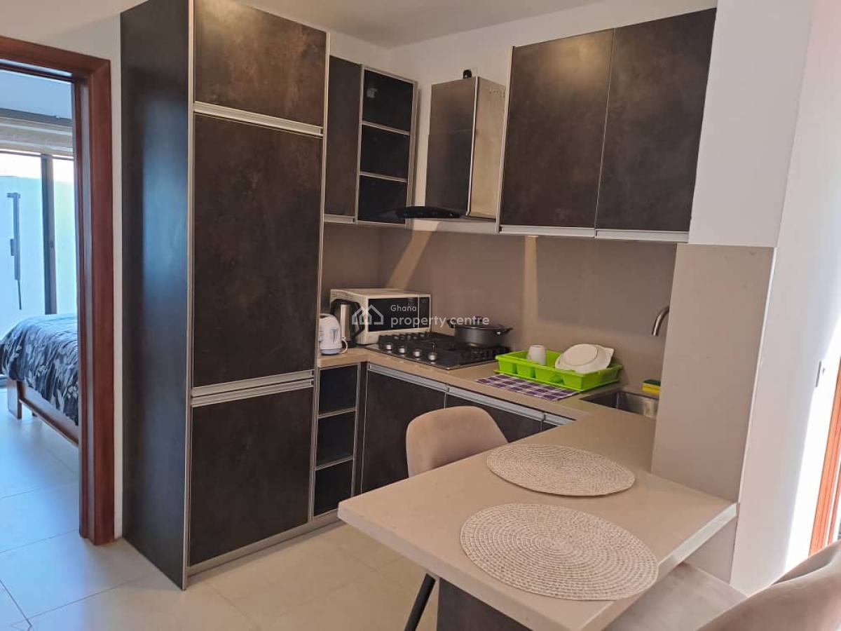 Fully Furnished 1 Bedroom Apartment, Mahama Road, East Airport, Airport Residential Area, Accra, Mini Flat for Rent