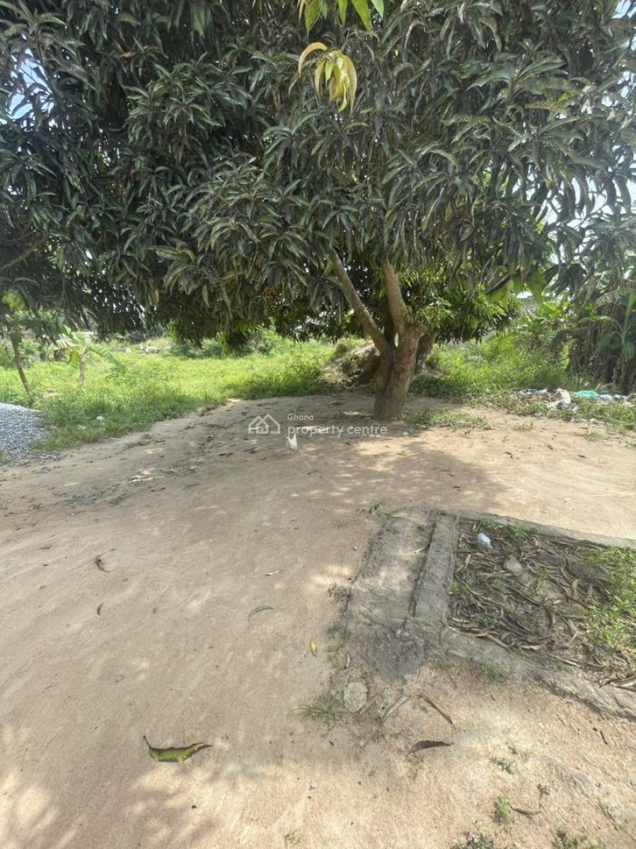 1 Plot of Land at Asalaja, Asalaja, Ga South Municipal, Accra, Residential Land for Sale