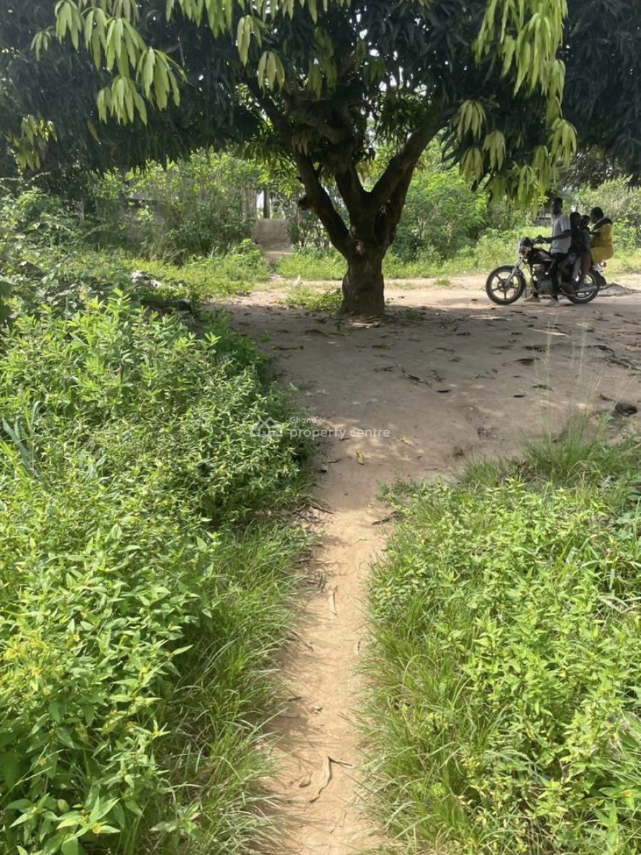 1 Plot of Land at Asalaja, Asalaja, Ga South Municipal, Accra, Residential Land for Sale