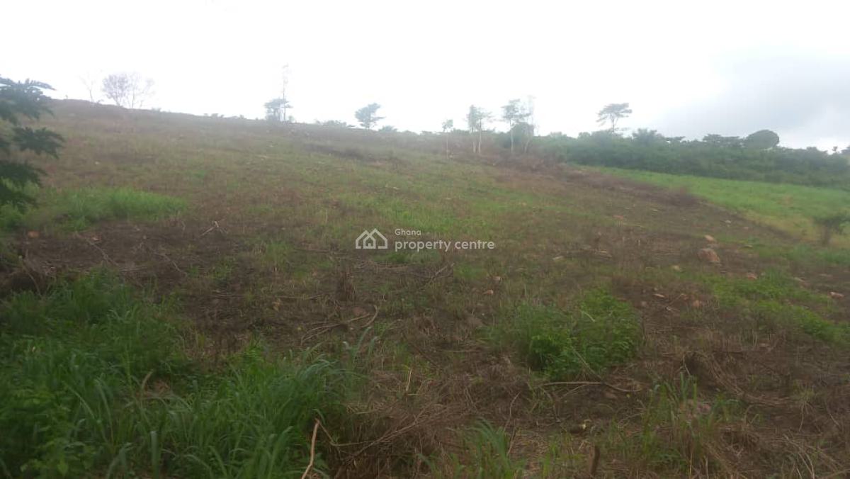 Kwabenya Berekuso 10-acre Land Development (62 Plots), Between Ahyesi University and Graceland Cemetery, Berekuso, Akuapim South Municipal, Eastern Region, Residential Land for Sale