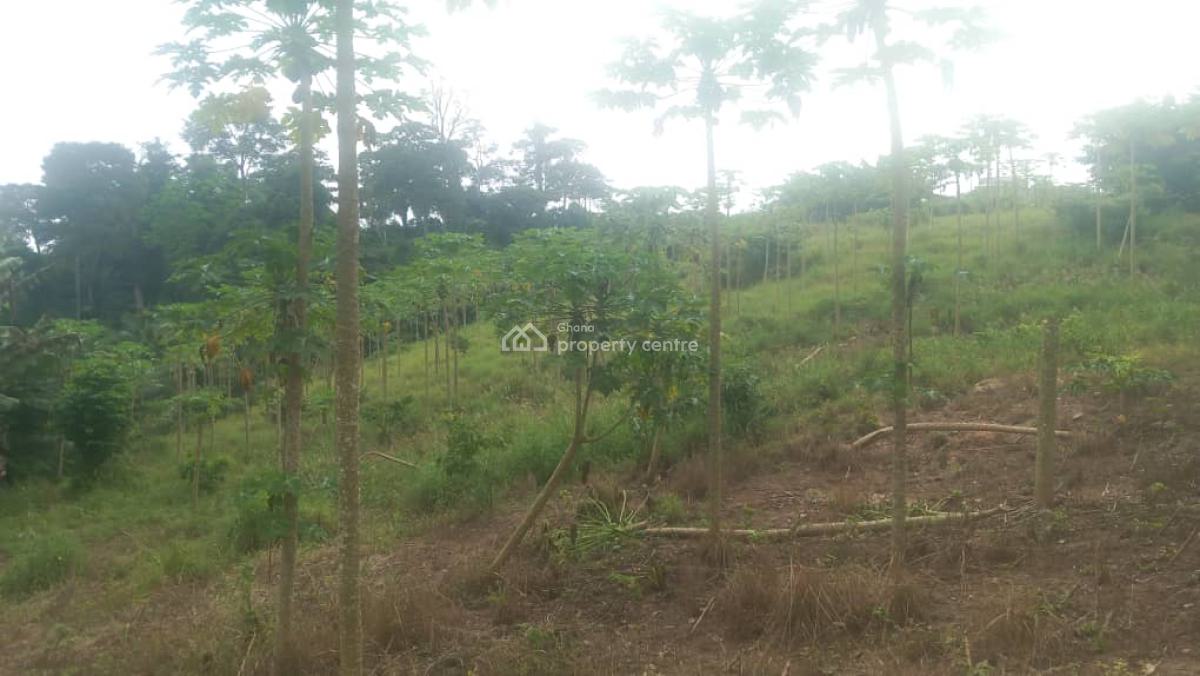 10 Acres Land Development (62 Plots), Between Ashesi University and Graceland Memorial Park, Berekuso, Akuapim South Municipal, Eastern Region, Residential Land for Sale