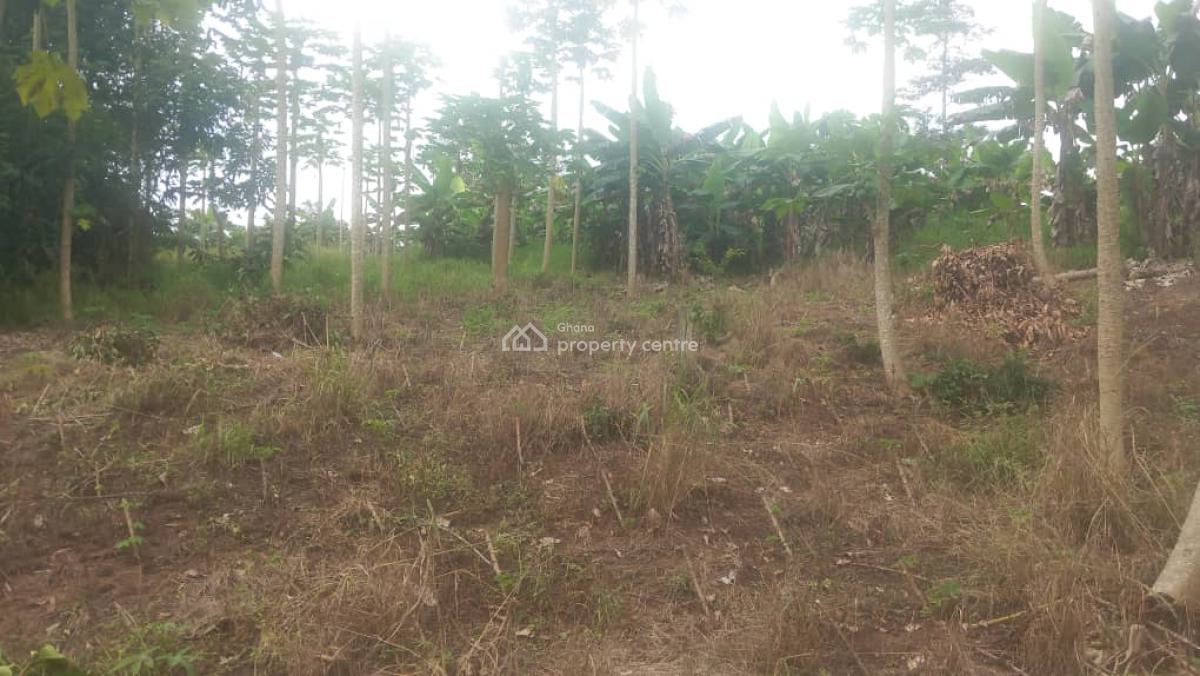 Prime Land for Development -- Amasaman, Amasaman, Amasaman, Ga West Municipal, Accra, Mixed-use Land for Sale
