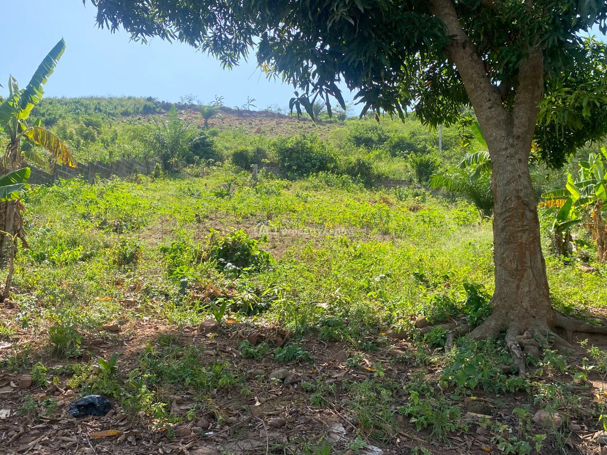 Prime Land for Development, Koleman, Amasaman, Ga West Municipal, Accra, Residential Land for Sale
