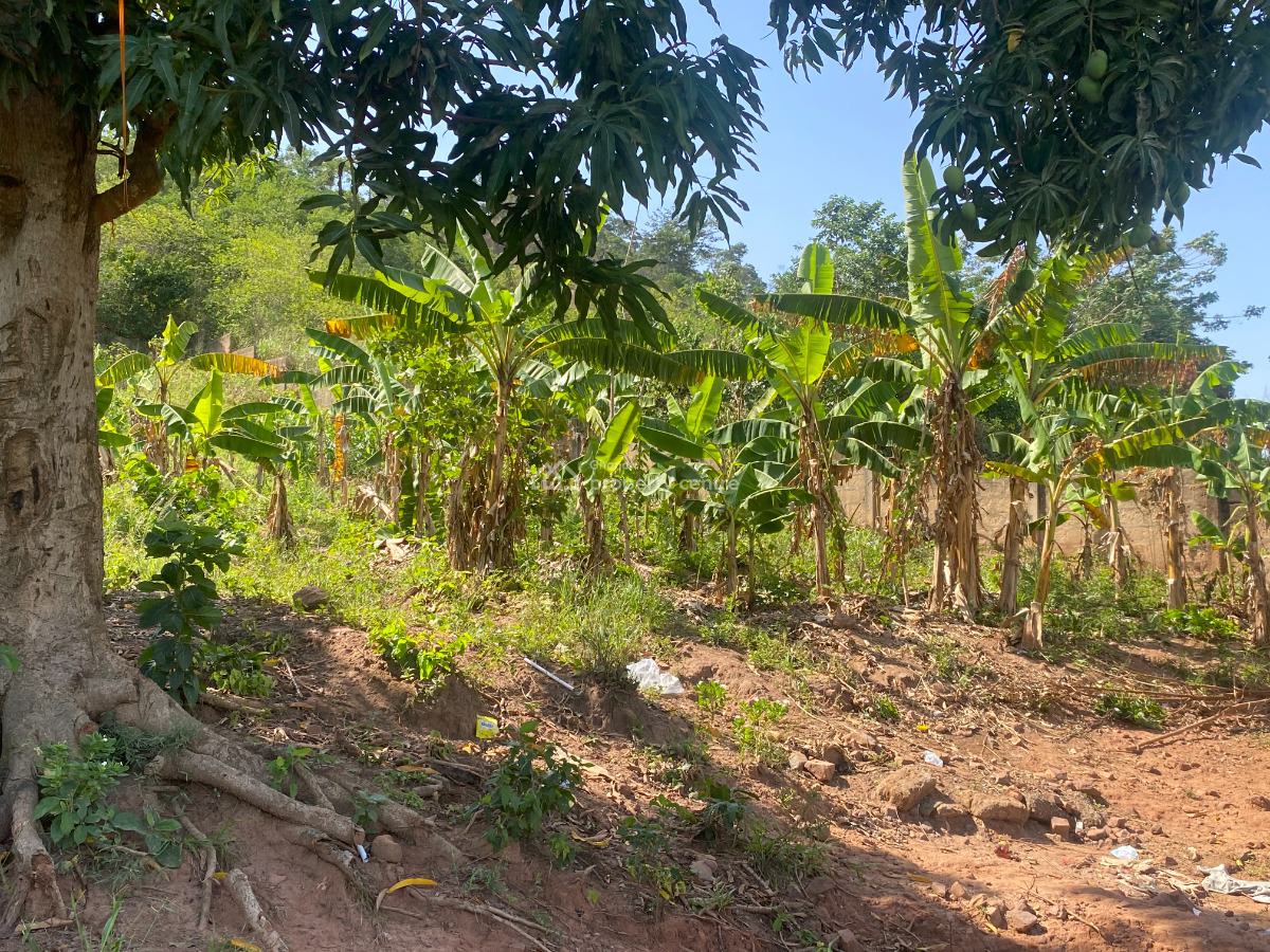 Prime Land for Development, Koleman, Amasaman, Ga West Municipal, Accra, Residential Land for Sale